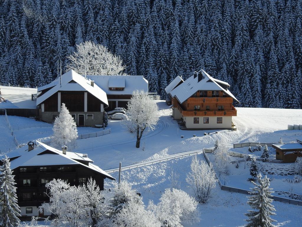 Der Hoferbauer Lägenhet Bad Kleinkirchheim Exteriör bild