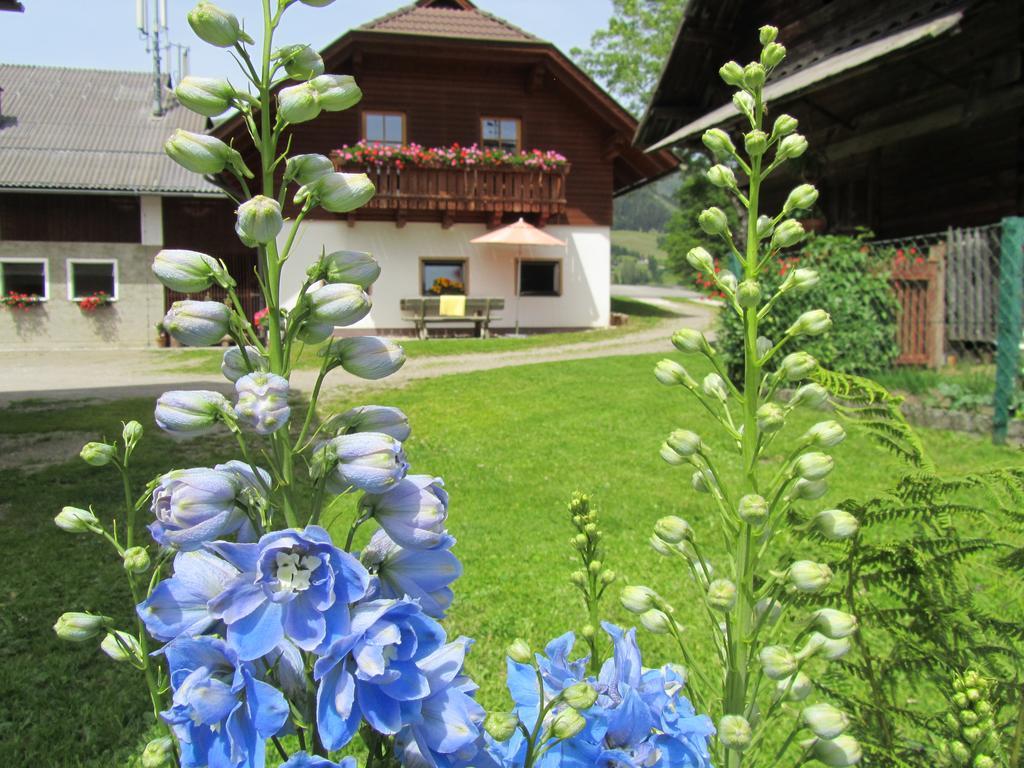 Der Hoferbauer Lägenhet Bad Kleinkirchheim Exteriör bild