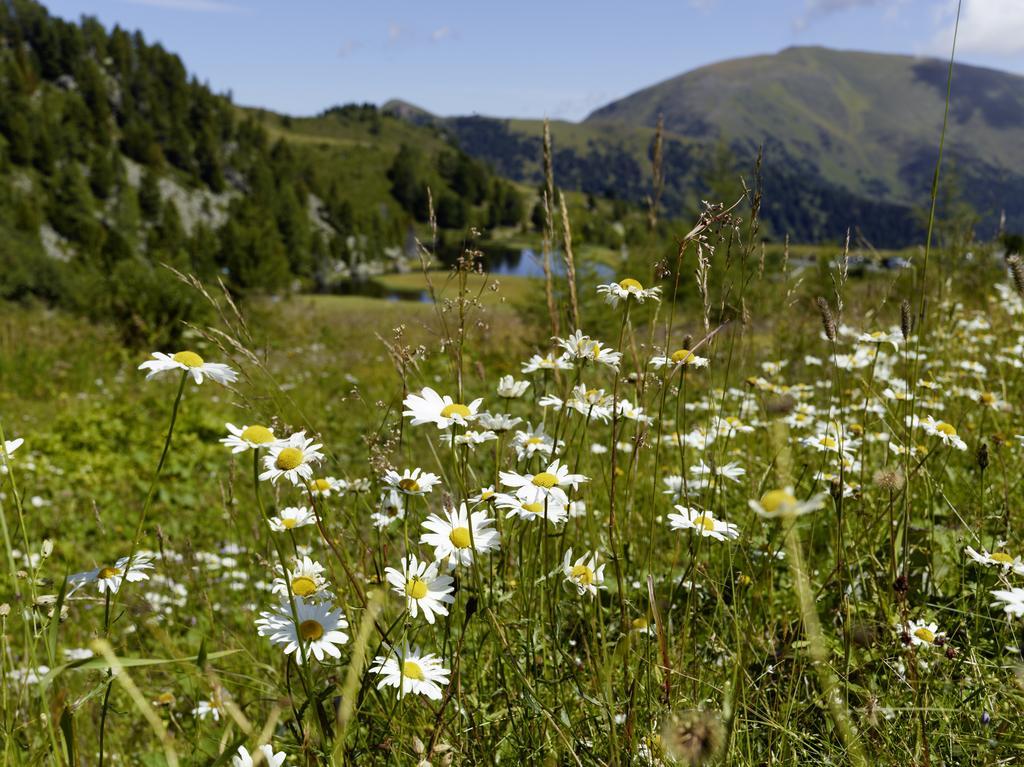 Der Hoferbauer Lägenhet Bad Kleinkirchheim Exteriör bild