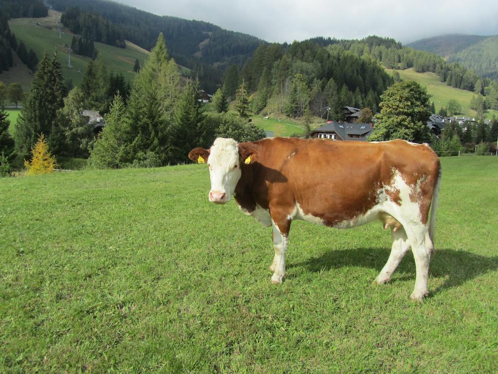 Der Hoferbauer Lägenhet Bad Kleinkirchheim Exteriör bild